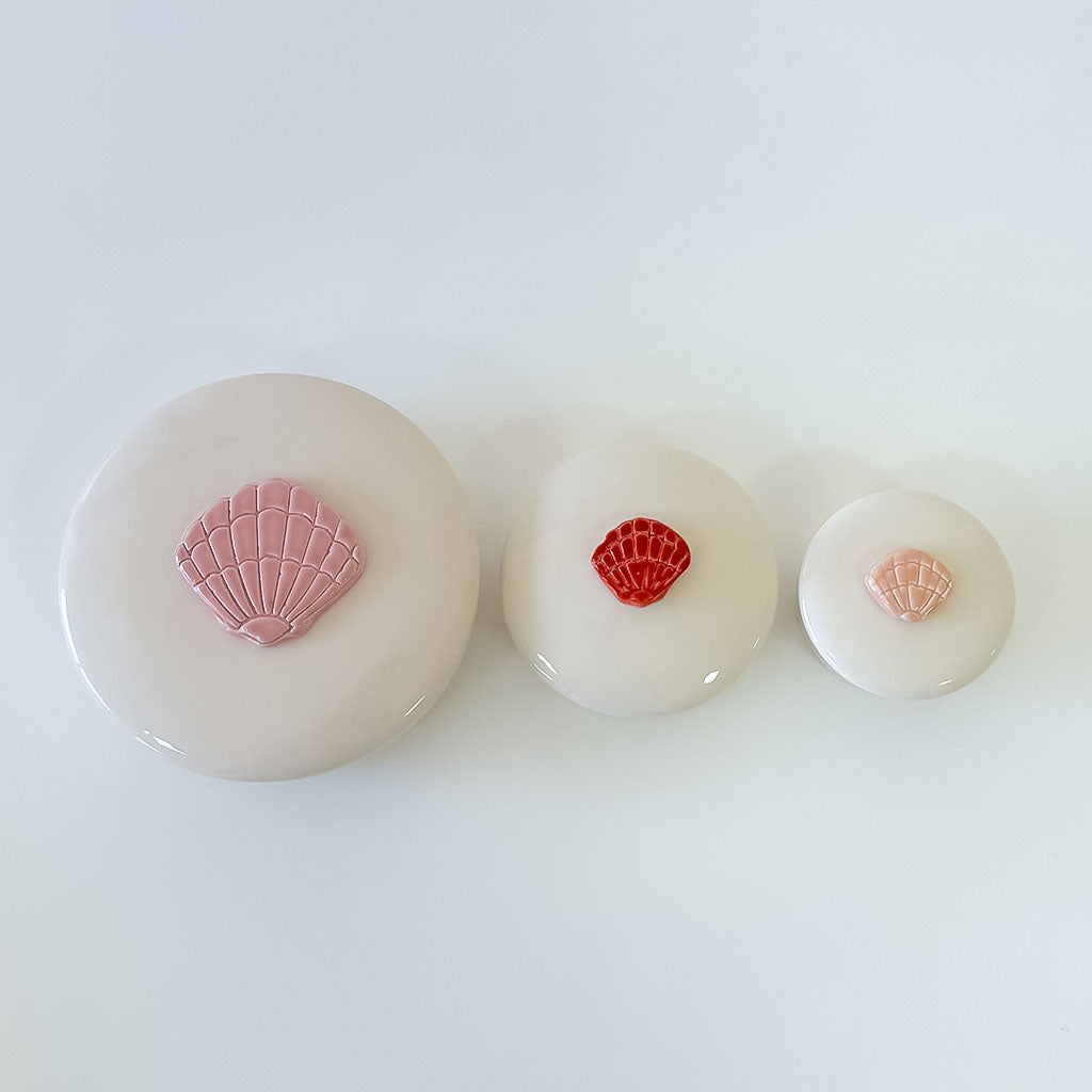 مجموعة من ثلاث علب على شكل صدف الكنز