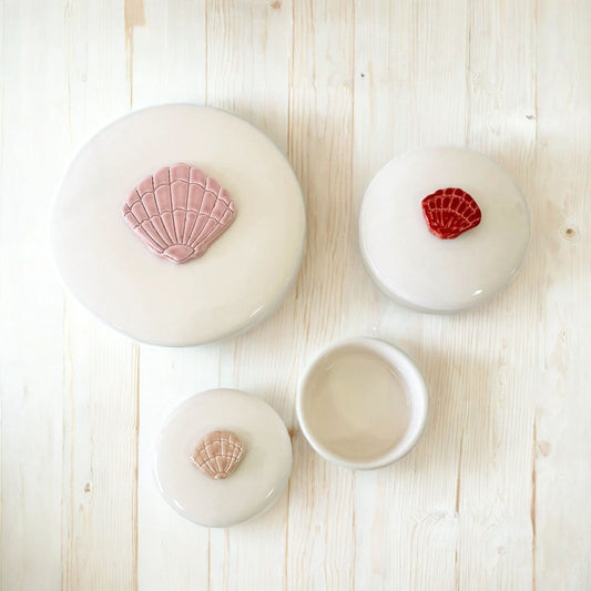 مجموعة من ثلاث علب على شكل صدف الكنز