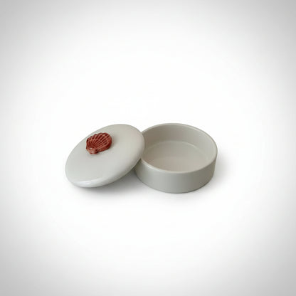 Medium Box With Ceramic Shell