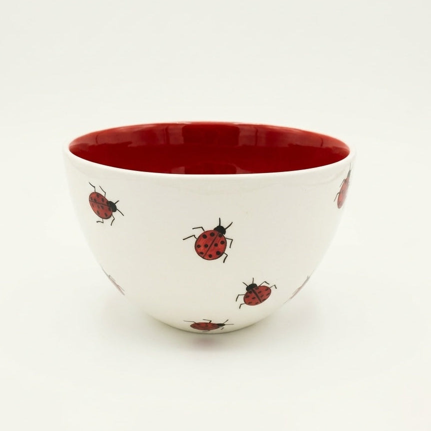 Ladybird Cone Bowl