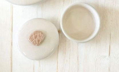 Trio Of Treasure Shell Boxes